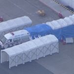 新たに乗客41人の感染が判明　ダイヤモンド・プリンセス号の新型コロナウイルス