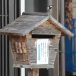 この郵便受け、手紙は入れないで　小さな命が育ってます