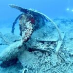 小笠原、島に眠る戦跡 戦火の記憶を伝える人たち