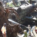 大雨で倒れた樹齢1300年の大杉、保存に向け根を洗浄