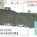 ノルウェーで巨大地滑り　10人けが21人と連絡取れず(2020年12月31日)