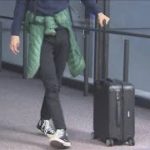 「変異種」国内でも確認　日本への新規入国拒否へ(2020年12月27日)