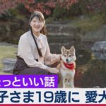 愛子さま19歳に(完全版) コロナで公私ともにほぼ外出せず…愛犬の名は？皇室ちょっといい話(17)（2020年12月1日）