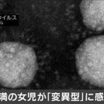 東京都で10歳未満の女児が変異ウイルスに感染(2021年1月22日)