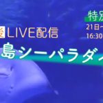 【16:30～LIVE】横浜・八景島シーパラダイスの魚たち　閉館後の様子を特別公開 /YOKOHAMA HAKKEIJIMA SEA PARADISE, JAPAN（2021年1月22日）