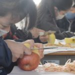 リンゴの皮18メートルむき栄冠は妹に　愛知の小学校