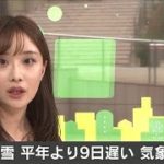 東京都心で初雪観測　平年より9日遅い　気象庁(2021年1月12日)