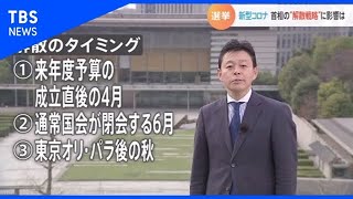 今年の政治はどう動く？コロナが政局に影響 政治部解説