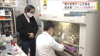 待たれるコロナ「治療薬」　その研究“最前線”(2021年1月1日)