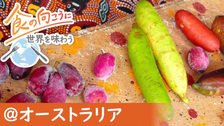 【食の向こうに】＠オーストラリア　先住民の伝統食材や食文化を引き継ぐツアー