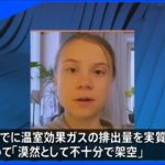 グレタさん痛烈批判「各国が掲げるのは架空の目標」
