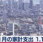 １世帯の支出1.1％増　家計調査「20年11月」（2021年1月8日）