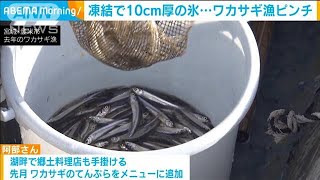 沼が全面凍結　厚さ10センチ・・・ワカサギ漁がピンチ(2021年1月14日)