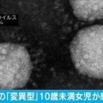 都内に住む女の子が変異ウイルスに感染　市中感染か(2021年1月22日)
