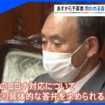 菅首相“勝負の１週間”２５日から予算委、論戦ポイントは？【Nスタ】