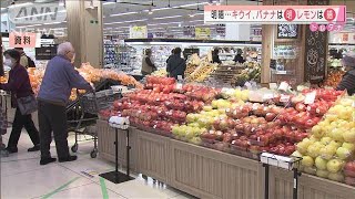 コロナで明暗・・・キウイやバナナの輸入額が過去最高に(2021年2月12日)