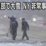 米北東部で大雪、NYは非常事態宣言　パンダは大喜び