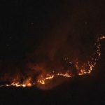 約７６ヘクタールが焼失　栃木・足利の山火事