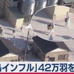 「鳥インフル」42万羽を殺処分（2021年2月6日）