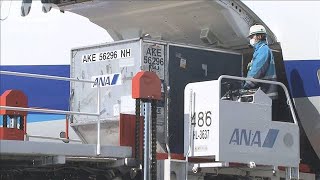 ワクチン第2便成田空港到着　ファイザー製45万回分(2021年2月21日)