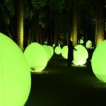 偕楽園で「光の祭」　チームラボのアートプロジェクト