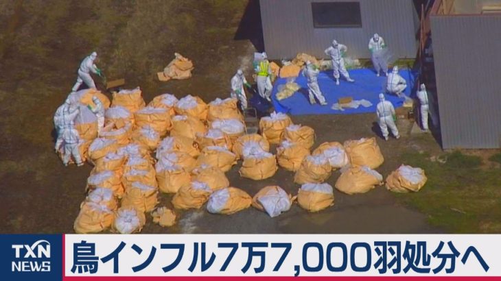 鳥インフル７万7,000羽処分へ（2021年3月14日）