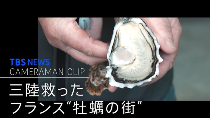 フランス”牡蠣の街”から～50年続く日仏の絆 【カメラマンCLIP】