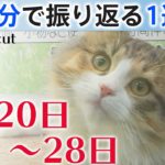 「１分で振り返る１週間」 ２月２０日→２月２８日 ワンカットカレンダー２０２１【Editor’s cut】
