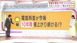 電気料金が年間1000円超値上げも　今後10年続く？(2021年3月30日)