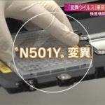 「東京でも半数超がN501Y」変異株判定の最前線(2021年4月18日)