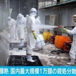 前橋市で豚熱　国内最大規模の1万頭の殺処分始まる(2021年4月3日)
