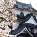 桜の名所・彦根城
