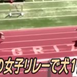 米高校の女子リレーでワンちゃんが1位でゴール