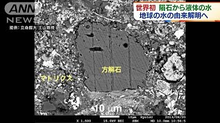 世界初！隕石から液体の水　地球の水の由来解明へ(2021年4月22日)