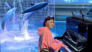 ハラミちゃんがイルカとコラボ！　水族館でピアノ生演奏（スペシャルドルフィンパフォーマンス マクセル アクアパーク品川／ハラミちゃん）