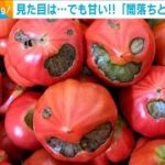 見た目は・・・でも甘い！！「闇落ちとまと」大人気(2021年5月26日)