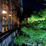 東福寺で青もみじ試験点灯、未来を照らす希望に