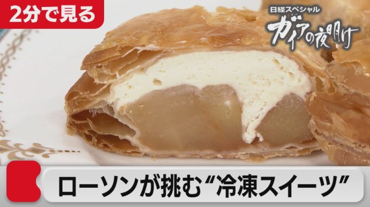 2021/5/7 OA　冷凍食品の熱い闘い　「すぐ食べられる冷凍スイーツ」に挑む【2分で見るガイアの夜明け】