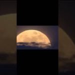 「スーパームーン皆既月食」Total lunar eclipse 2021年5月26日 #shorts