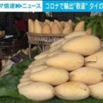 新型コロナの影響？タイでマンゴー価格低下(2021年5月24日)