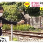 「勝手踏切」全国に1万7,000カ所　“生活通路に”住民側の事情も