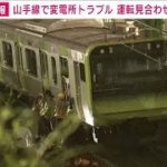駅間に複数の電車・・・乗客降ろす　山手線運転見合わせ(2021年6月20日)