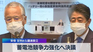 蓄電池競争力強化へ決議 安倍 甘利氏ら議連設立（2021年6月11日）
