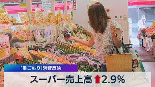 ５月の全国スーパー売上高2.9％プラス ｢巣ごもり｣消費反映（2021年6月24日）
