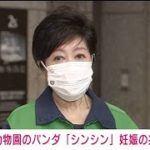 上野動物園のパンダ「シンシン」に妊娠の兆候(2021年6月4日)