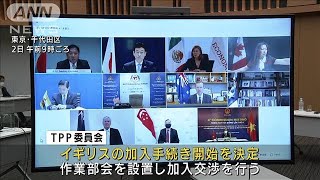 英のTPP加入手続き決定　EUに匹敵する経済圏誕生へ(2021年6月2日)