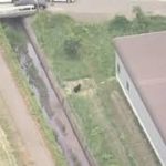 北海道札幌街道出現熊 四人受傷