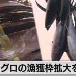 クロマグロ漁獲枠拡大を国際会議で議論（2021年7月27日）