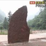 新種恐竜に「のび太」の学名　中国の研究者(2021年7月8日)