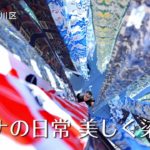 コロナの日常  美しく染めて　東京都江戸川区の染め物